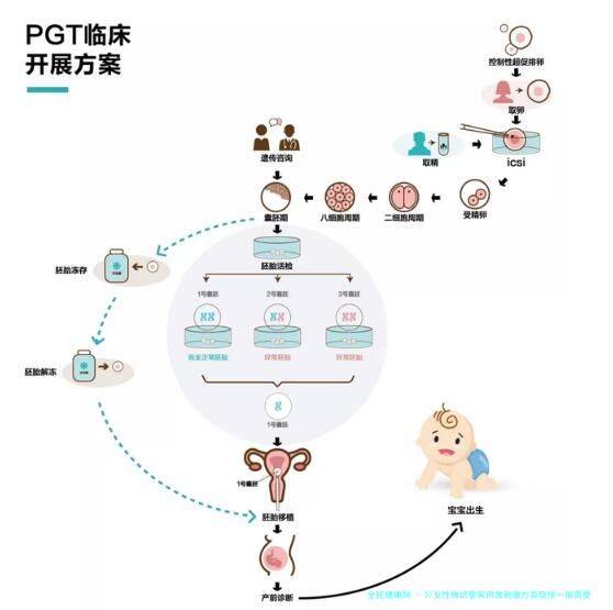 37女性做试管采用微刺激方案促排一般需要几天?