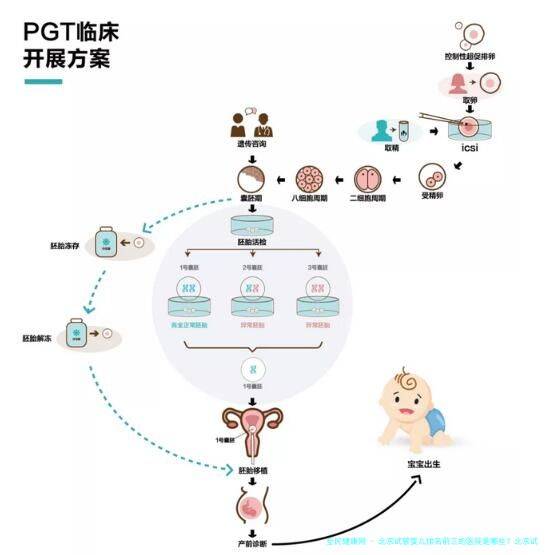 北京试管婴儿排名前三的医院是哪些？北京试管婴儿价格是多少？