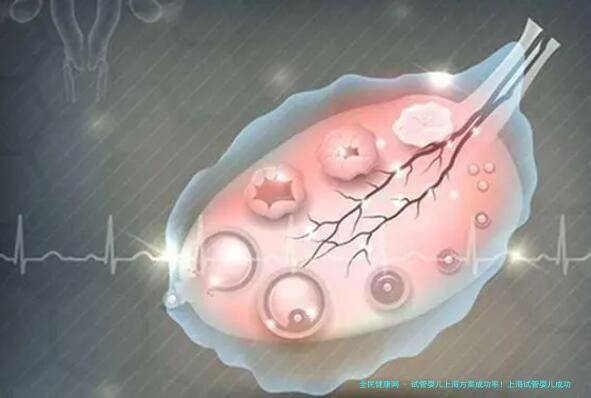 试管婴儿上海方案成功率！上海试管婴儿成功率排行！