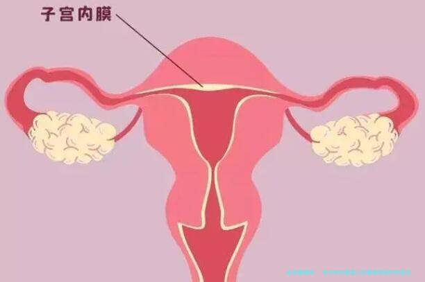 长沙市试管婴儿在哪里做较好的医院