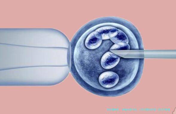 卵巢功能不好，三代试管如何选？近五年数据与真实案例解析