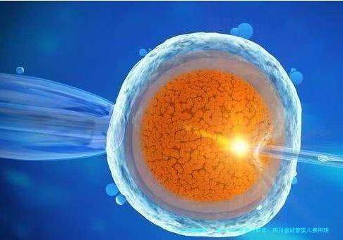 新怀孕试管费用解读：四川省试管婴儿费用明细全览