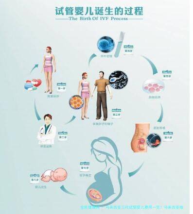 马来西亚三代试管婴儿费用一览！马来西亚做试管成功率和费用！