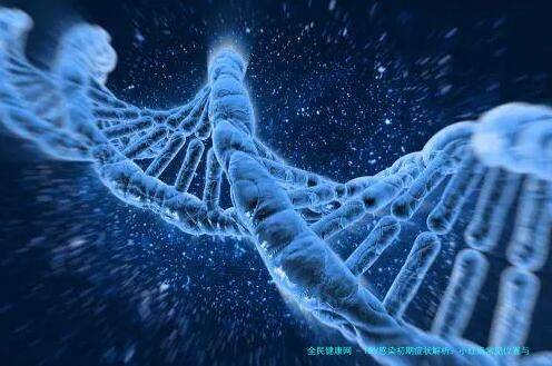 HPV感染初期症状解析：小红点常见位置与防治指南