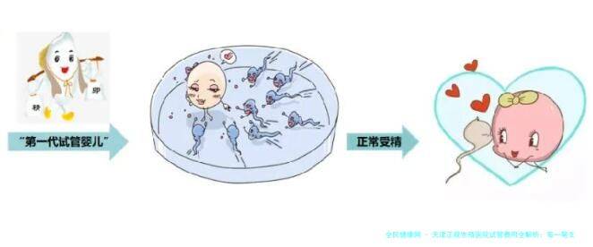 天津正规生殖医院试管费用全解析：每一笔支出都透明，助你精打细算好孕来！