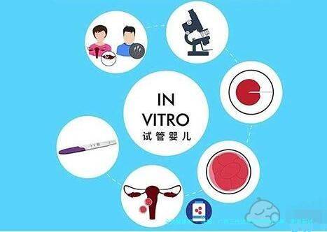 详解：广西三代试管费用和成功率，附最新试管费用及成功率