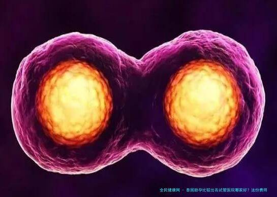 泰国助孕比较出名试管医院哪家好？这份费用明细可供参考
