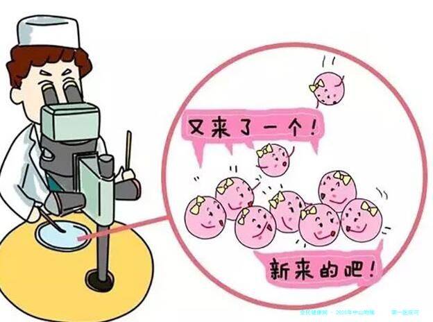 2025年中山附属      第一医院可以用**泡做试管婴儿吗？费用多少