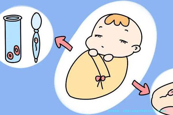 试管婴儿促排前打降调针的作用：调节激素、提高卵泡质量...