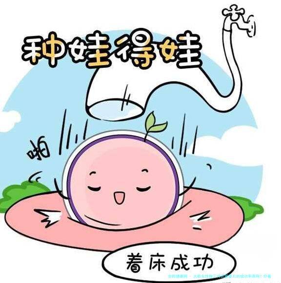 大龄女性做三代试管婴儿的成功率高吗？你看看就知道了！
