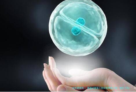 泰国试管婴儿医院需要多少钱？涨价了吗？