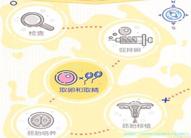 上海市助孕生个宝宝收费价目一览表-上海助孕生殖中心电话！