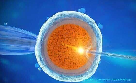 2025年北京大学人民医院单身试管婴儿费用价目表一览！