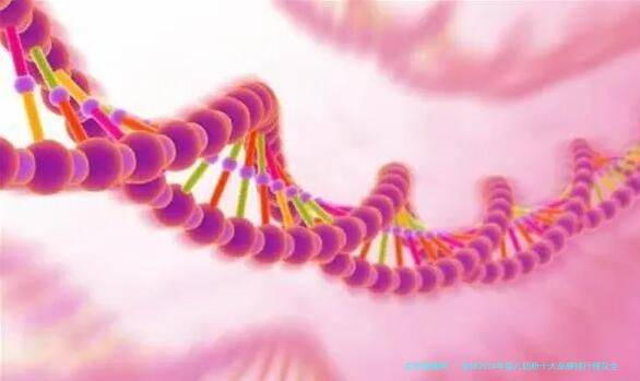 全球2024年婴儿奶粉十大品牌排行榜及全球奶粉品牌实力榜