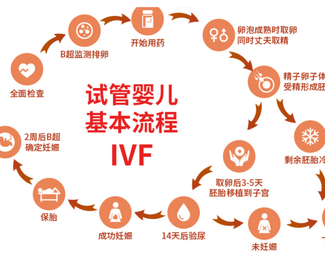 试管婴儿流程详解：六大步骤，从诊断到成功怀孕
