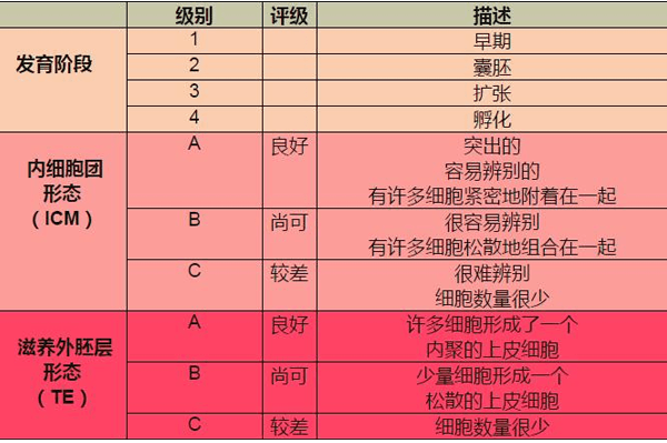 根据情况选择胚胎移植