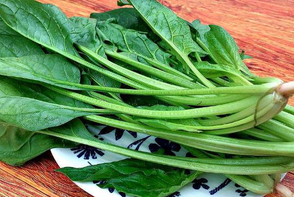 菠菜富含大量维生素