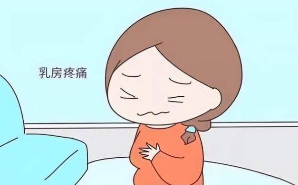 乳房胀痛可能是囊胚移植失败