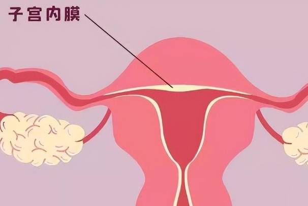 内膜变薄可以通过药物治疗