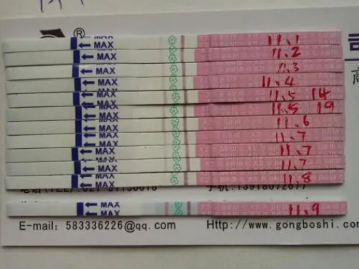 排卵试纸无强阳可能是使用错误
