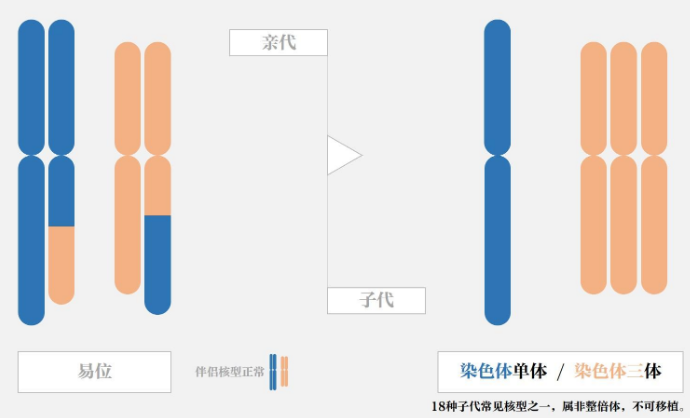 染色体平衡易位可以做三代试管