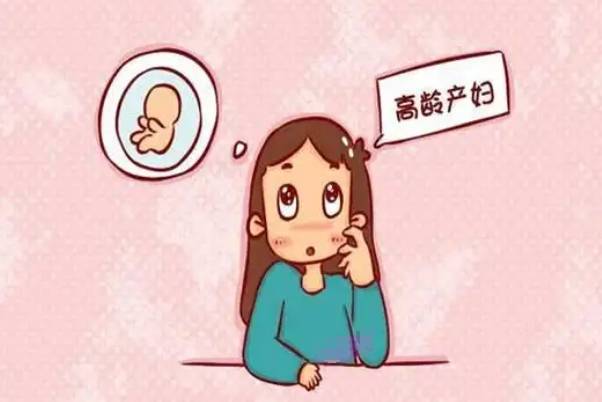 高龄试管活产率约15%