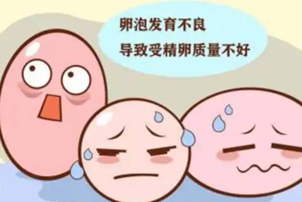 卵泡发育不好跟什么有关，内分泌失调、不良生活习惯等
