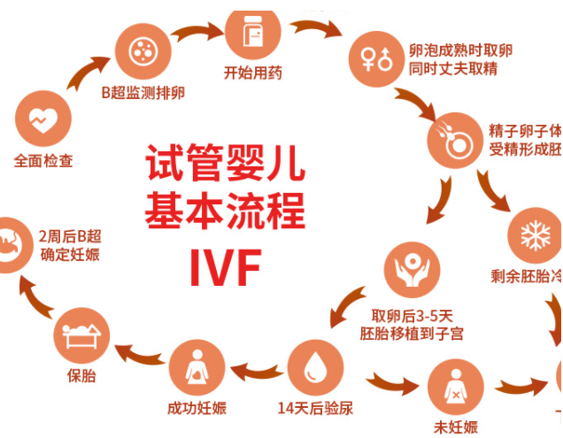 试管婴儿流程详解：六大步骤，从诊断到成功怀孕