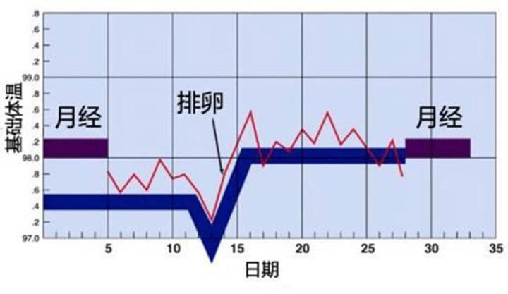 小知识！看白带状态就能知道排卵日