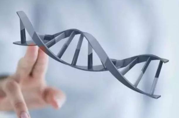 无创dna21三体高风险是不是没希望继续妊娠了？