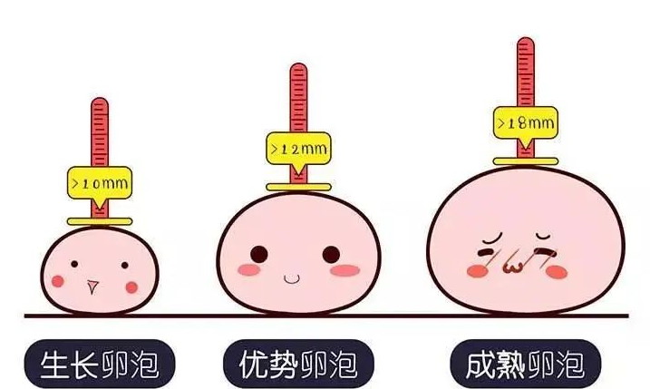 卵泡过大难产，是什么原因？