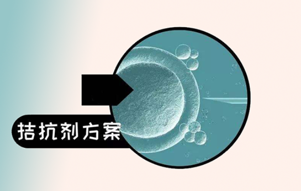 上海做二代试管用拮抗剂方案促排下来一共多少钱？