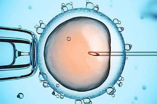 二代试管成功1个胚胎能进行移植