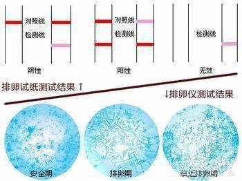 排卵监测试纸测试结果两条杠一深一浅意味着多久会排卵？