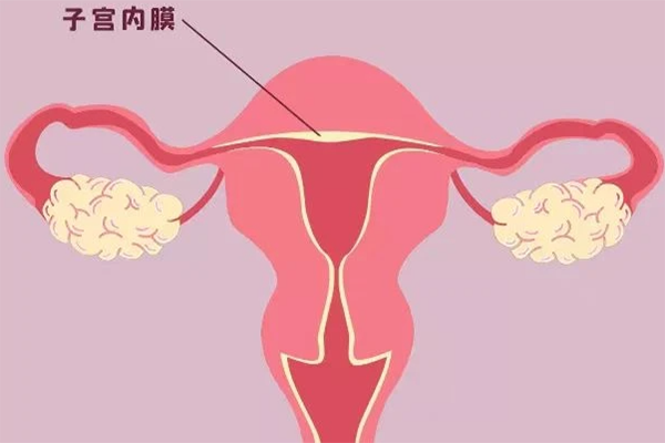 子宫内膜6mm吃2天塞芬吗通会涨多少?