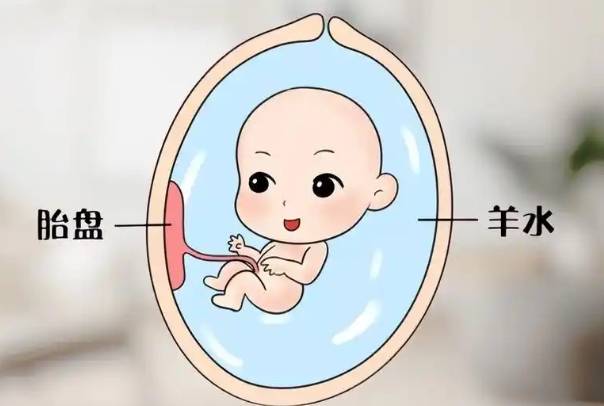 孕晚期做B超显示羊水量82mm在正常的范围内吗?
