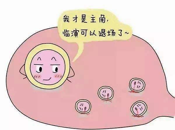 促排为了让卵泡发育成熟