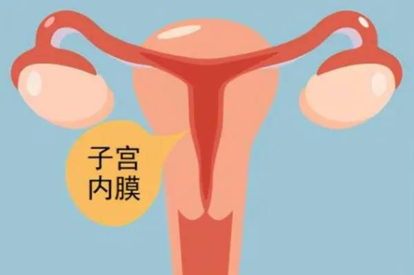 备孕期女性子宫内膜13mm偏厚会不会影响怀孕生孩子？