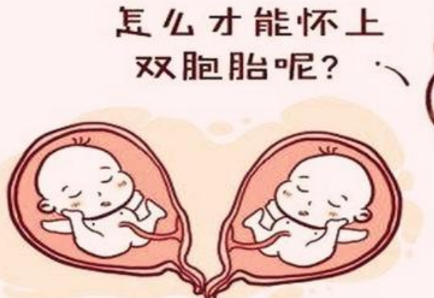 体重有200多斤可以做三代试管婴儿怀**吗？