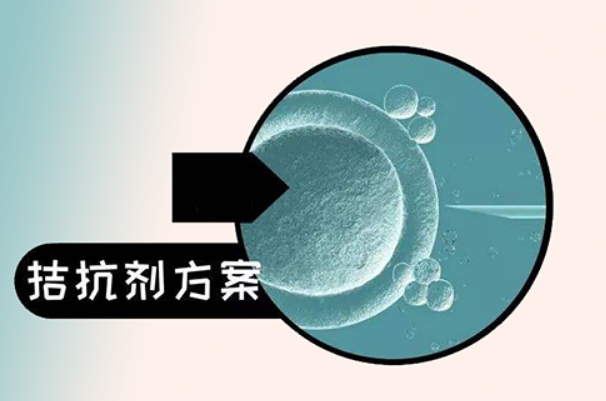 三代试管不一定选择拮抗剂方案