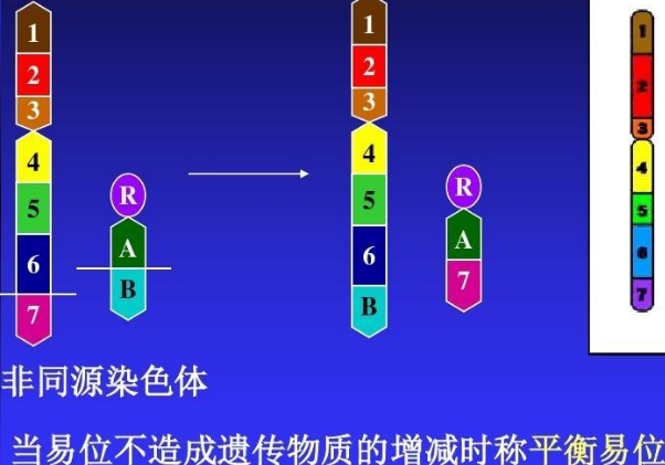 男性有严重的染色体平衡易位能使用精子库的精子做试管婴儿吗？