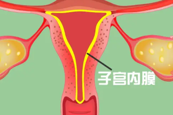 处在分泌期的子宫内膜会影响做试管移植的成功率吗？