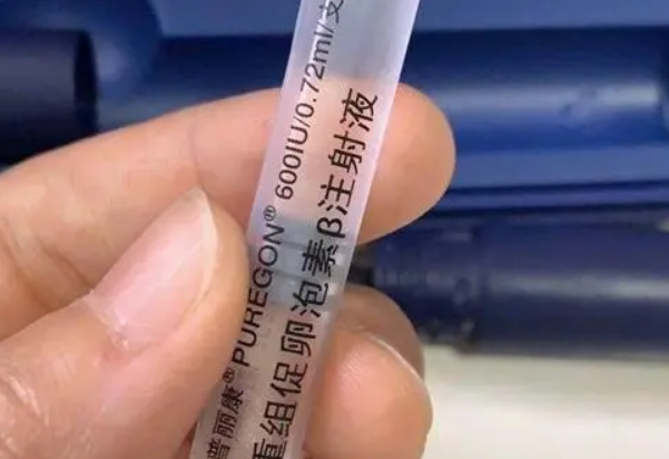 促性腺激素可以促进卵泡发育成熟