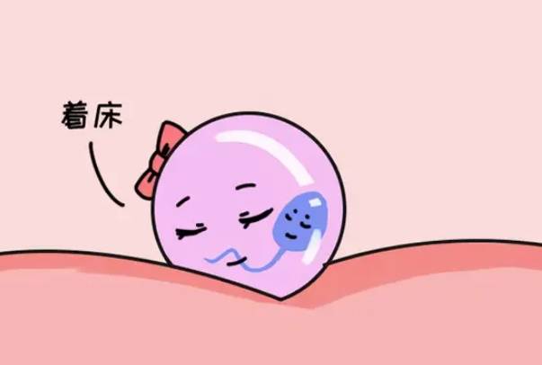 胚胎一般需要一周左右着床