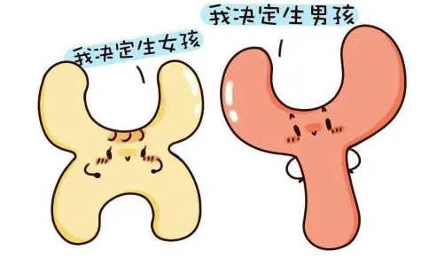 备孕**孩的科学方法，夫妻共同努力才能事半功倍