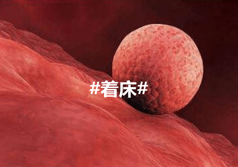 冻胚移植第九天排出凝乳状白带是代表着床成功吗？