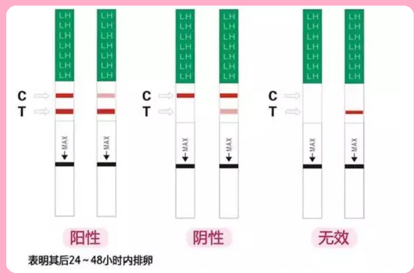 排卵试纸是常见的监测工具