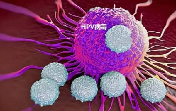 女性高危hpv39阳性未转阴影响做三代试管吗？