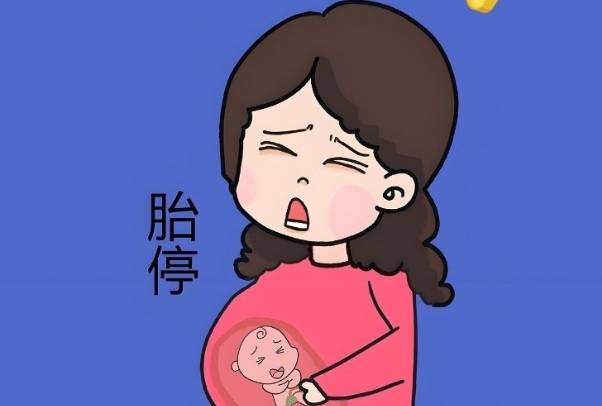 不孕吐的都容易胎停，科学认识早孕反应的个体差异