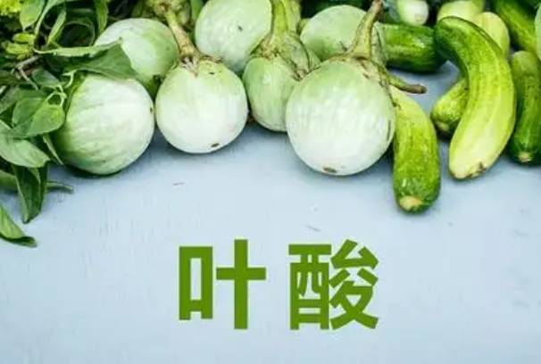 备孕期间要补充叶酸